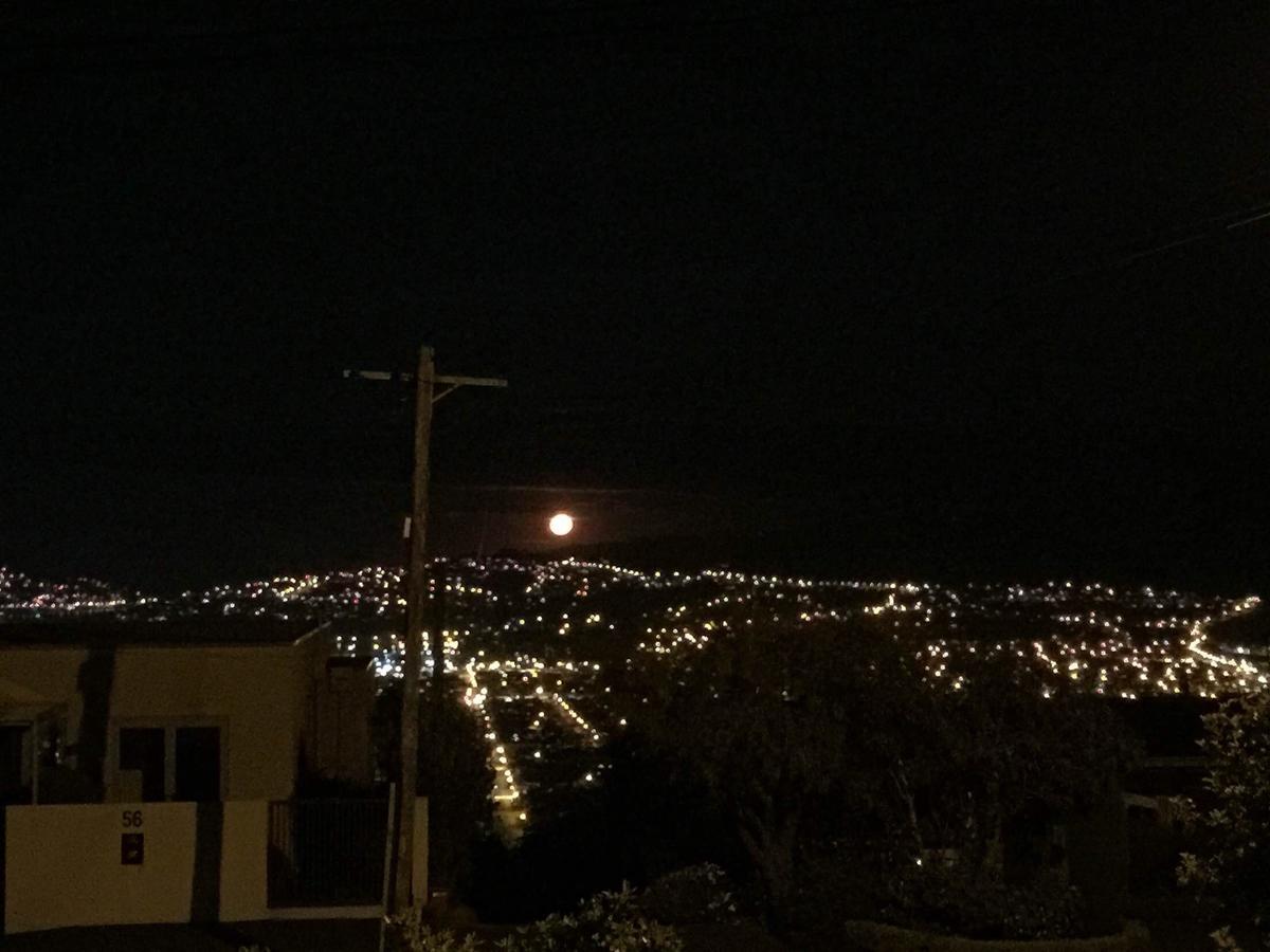 Wow @ Saint Clair Bed & Breakfast Dunedin Eksteriør bilde