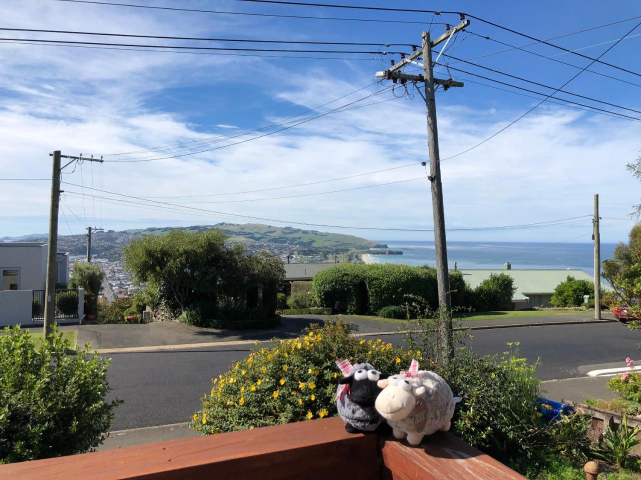 Wow @ Saint Clair Bed & Breakfast Dunedin Eksteriør bilde